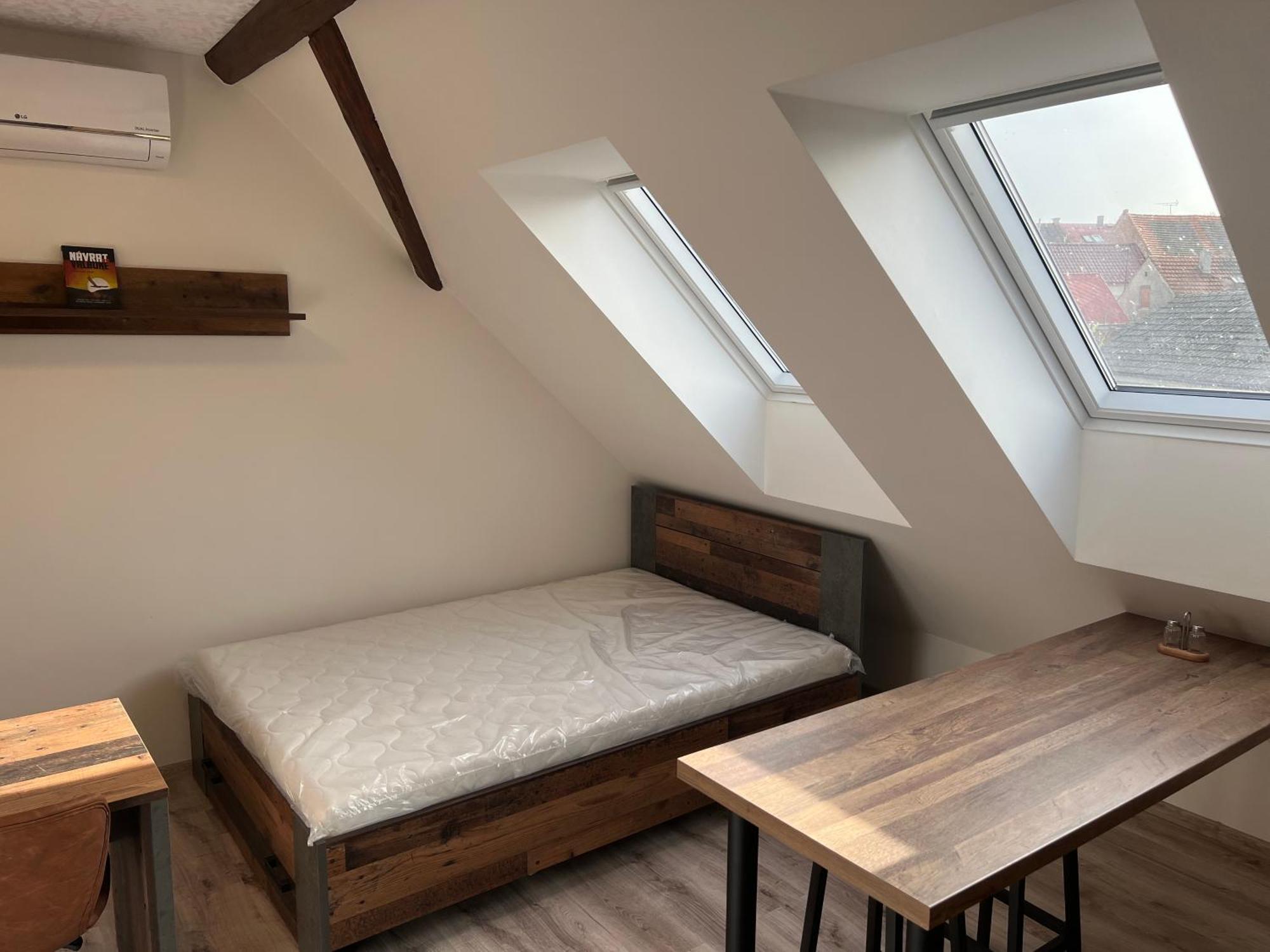 Ubytovani 1Kk Ve Zlonicich Slaný エクステリア 写真
