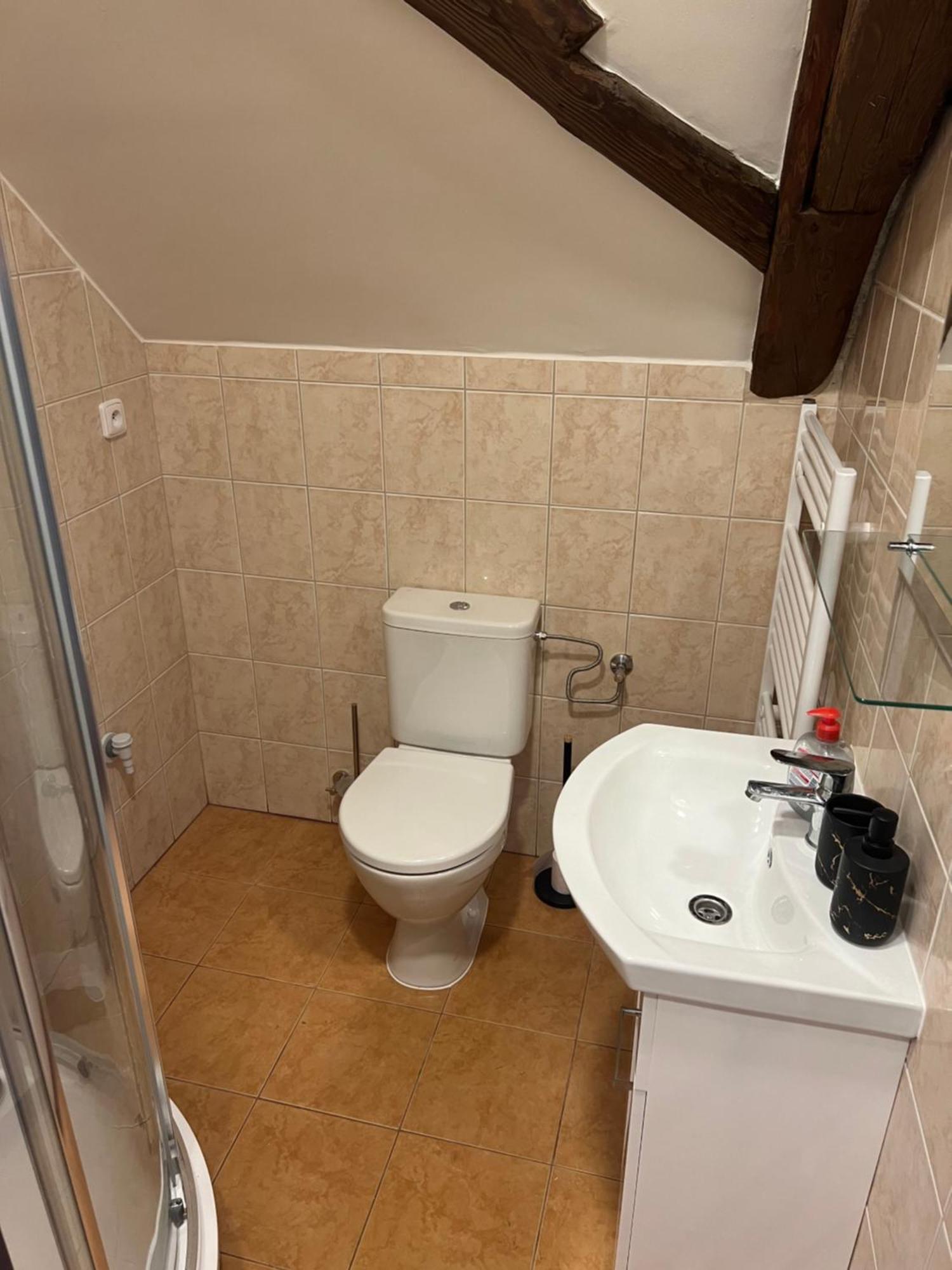 Ubytovani 1Kk Ve Zlonicich Slaný エクステリア 写真